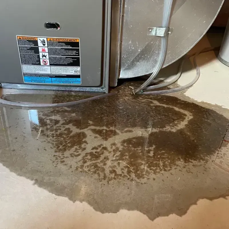 Appliance Leak Cleanup in McNairy County, TN